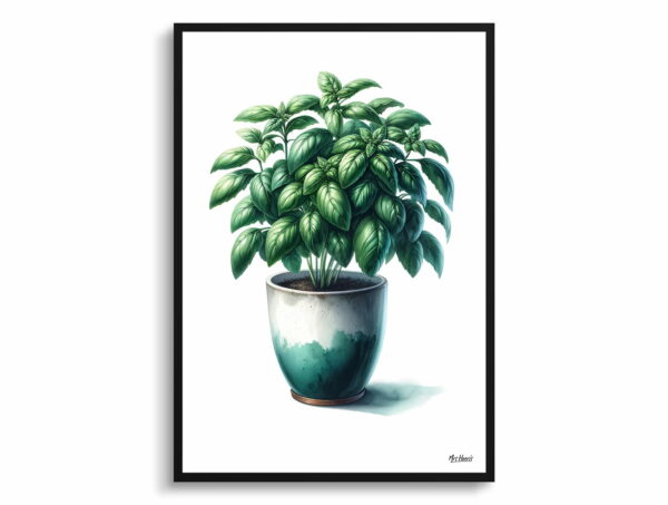 watercolour realist home plants basilocimum basilicum front view 1