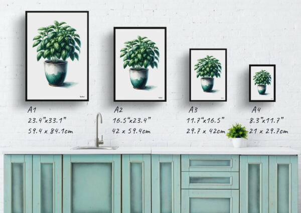 watercolour realist home plants basilocimum basilicum print size comparison 1