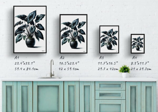 watercolour realist home plants black velvet alocasiaalocasia reginula print size comparison 1