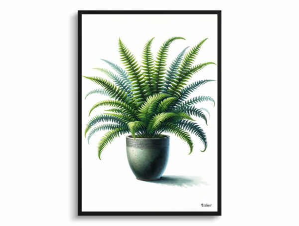 watercolour realist home plants boston fernnephrolepis exaltata front view 1