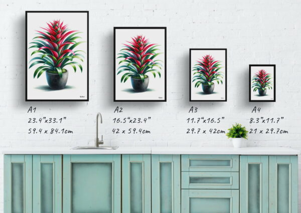 watercolour realist home plants bromeliadsbromeliaceae print size comparison 1