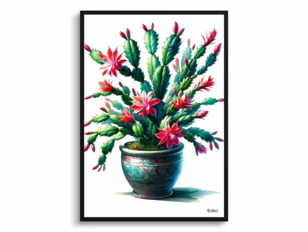 watercolour realist home plants christmas cactusschlumbergera x buckleyi front view 1