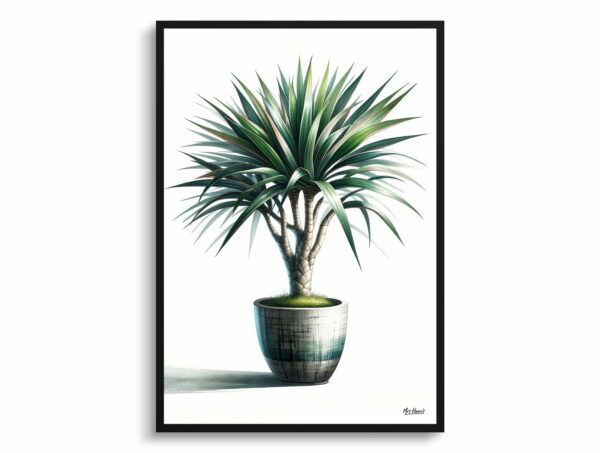 watercolour realist home plants dragon treedracaena marginata front view 1