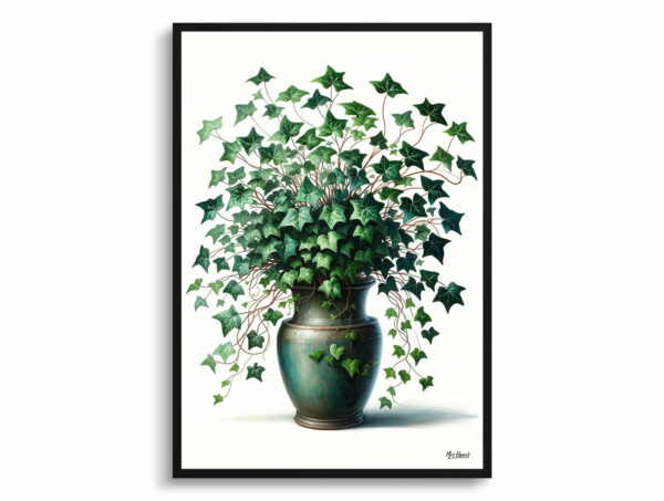 watercolour realist home plants english ivyhedera helix front view 1