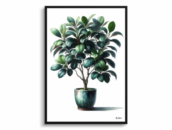 watercolour realist home plants ficus audreyficus benghalensis front view 1