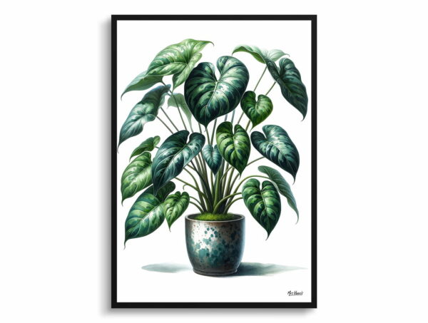 watercolour realist home plants heartleaf philodendronphilodendron hederaceum front view 1