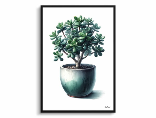 watercolour realist home plants jade plantcrassula ovata front view 1