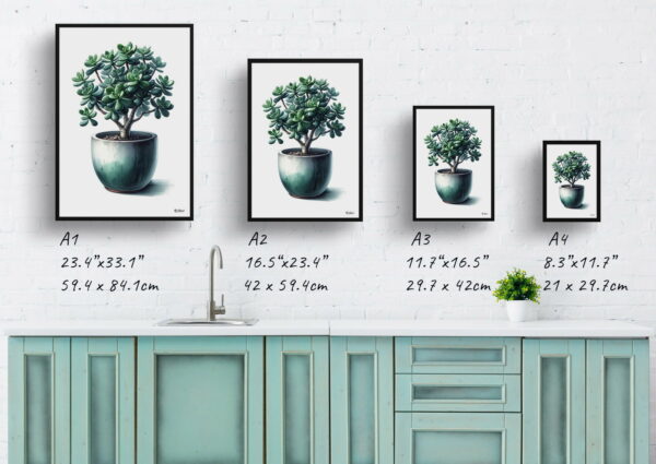 watercolour realist home plants jade plantcrassula ovata print size comparison 1