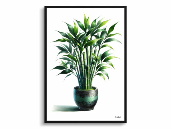 watercolour realist home plants lucky bamboodracaena sanderiana front view 1