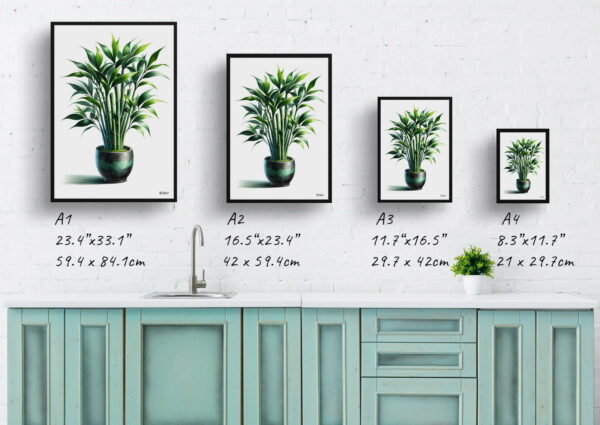 watercolour realist home plants lucky bamboodracaena sanderiana print size comparison 1