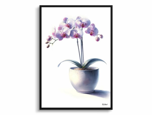 watercolour realist home plants moth orchidphalaenopsis amabilis front view 1