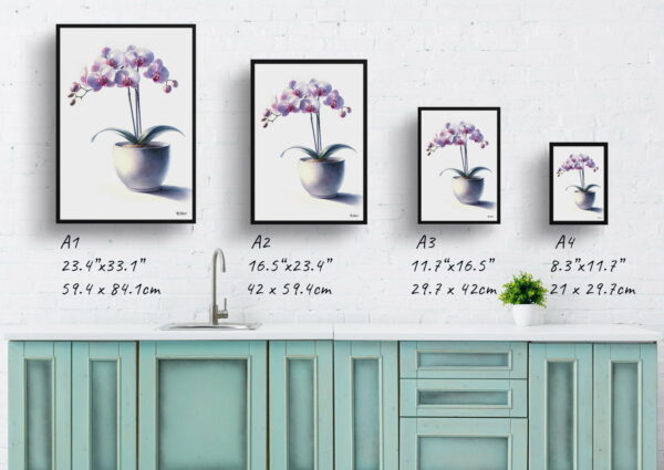 watercolour realist home plants moth orchidphalaenopsis amabilis print size comparison 1