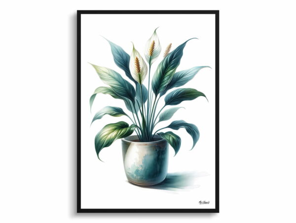 watercolour realist home plants peace lilyspathiphyllum wallisii front view 1