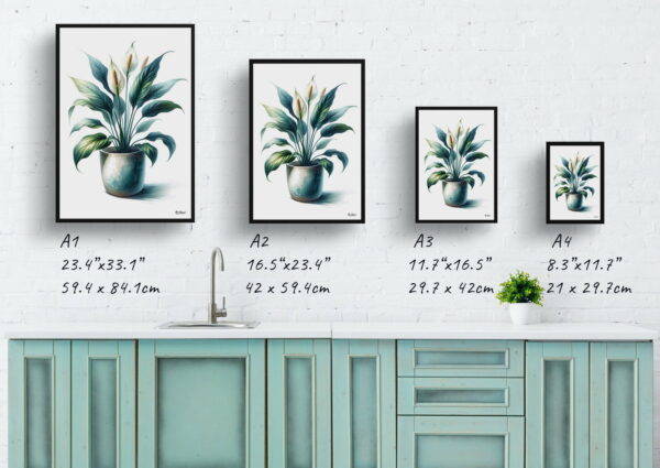 watercolour realist home plants peace lilyspathiphyllum wallisii print size comparison 1