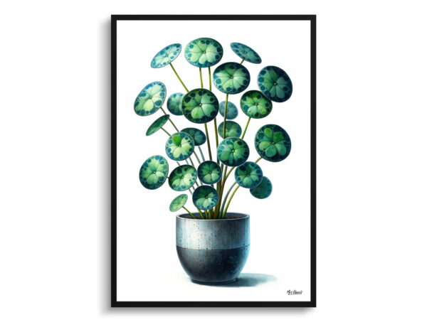 watercolour realist home plants pileapilea peperomioides front view 1