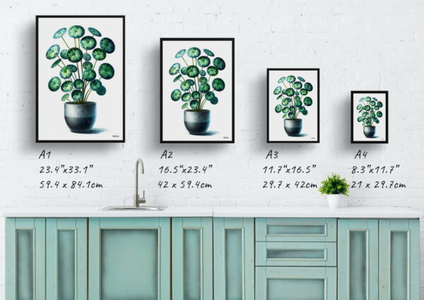 watercolour realist home plants pileapilea peperomioides print size comparison 1