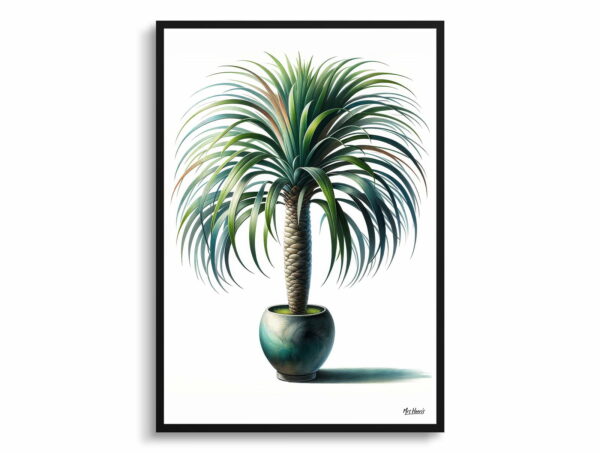 watercolour realist home plants ponytail palmbeaucarnea recurvata front view 1