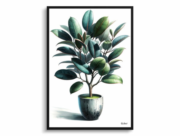 watercolour realist home plants rubber plantficus elastica front view 1