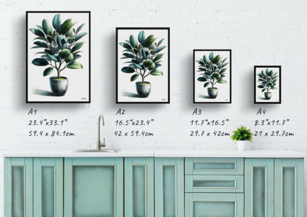 watercolour realist home plants rubber plantficus elastica print size comparison 1