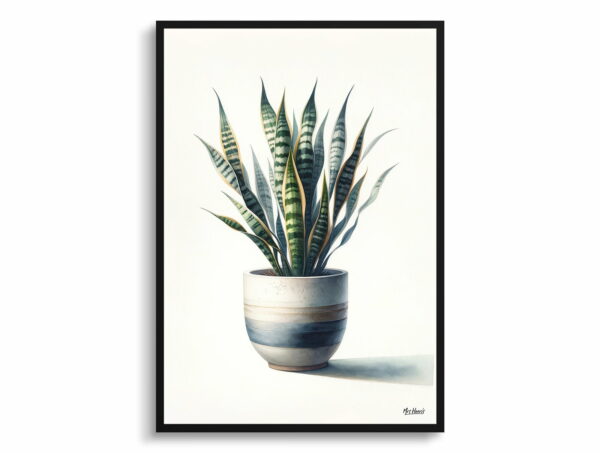 watercolour realist home plants snake plantdracaena trifasciata front view 1