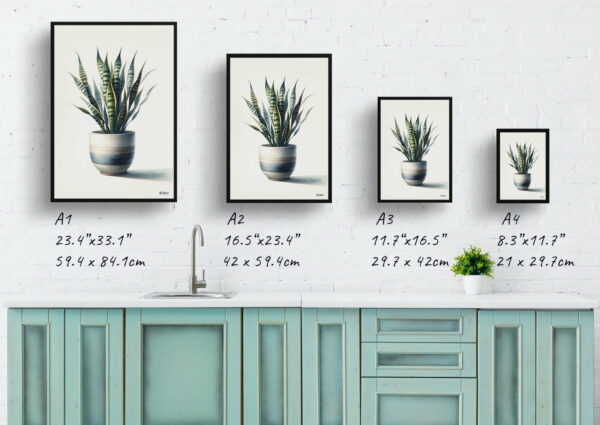 watercolour realist home plants snake plantdracaena trifasciata print size comparison 1