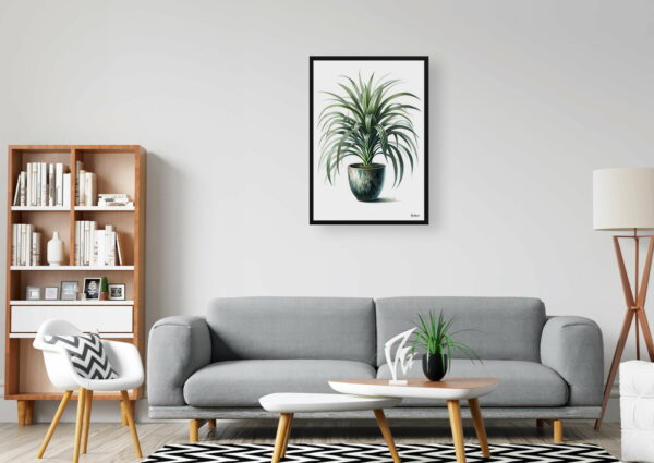 watercolour realist home plants spider plantchlorophytum comosum office 1