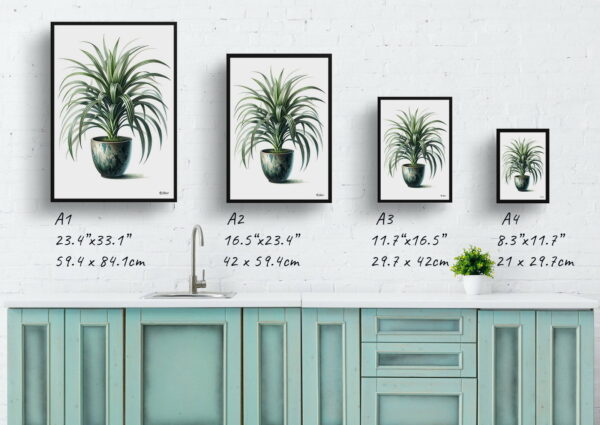 watercolour realist home plants spider plantchlorophytum comosum print size comparison 1