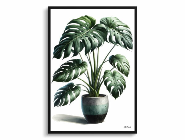 watercolour realist home plants swiss cheese plantmonstera deliciosa front view