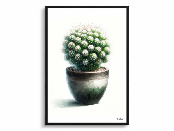 watercolour realist home plants thimble cactusmammillaria gracilis fragilis front view 1