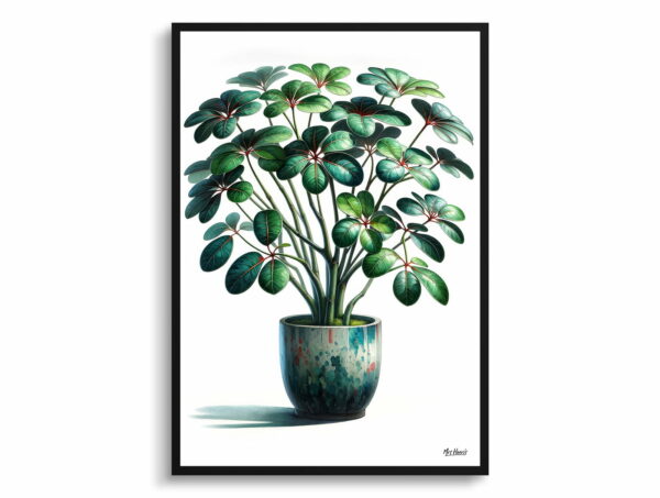 watercolour realist home plants umbrella plantschefflera actinophylla front view 1